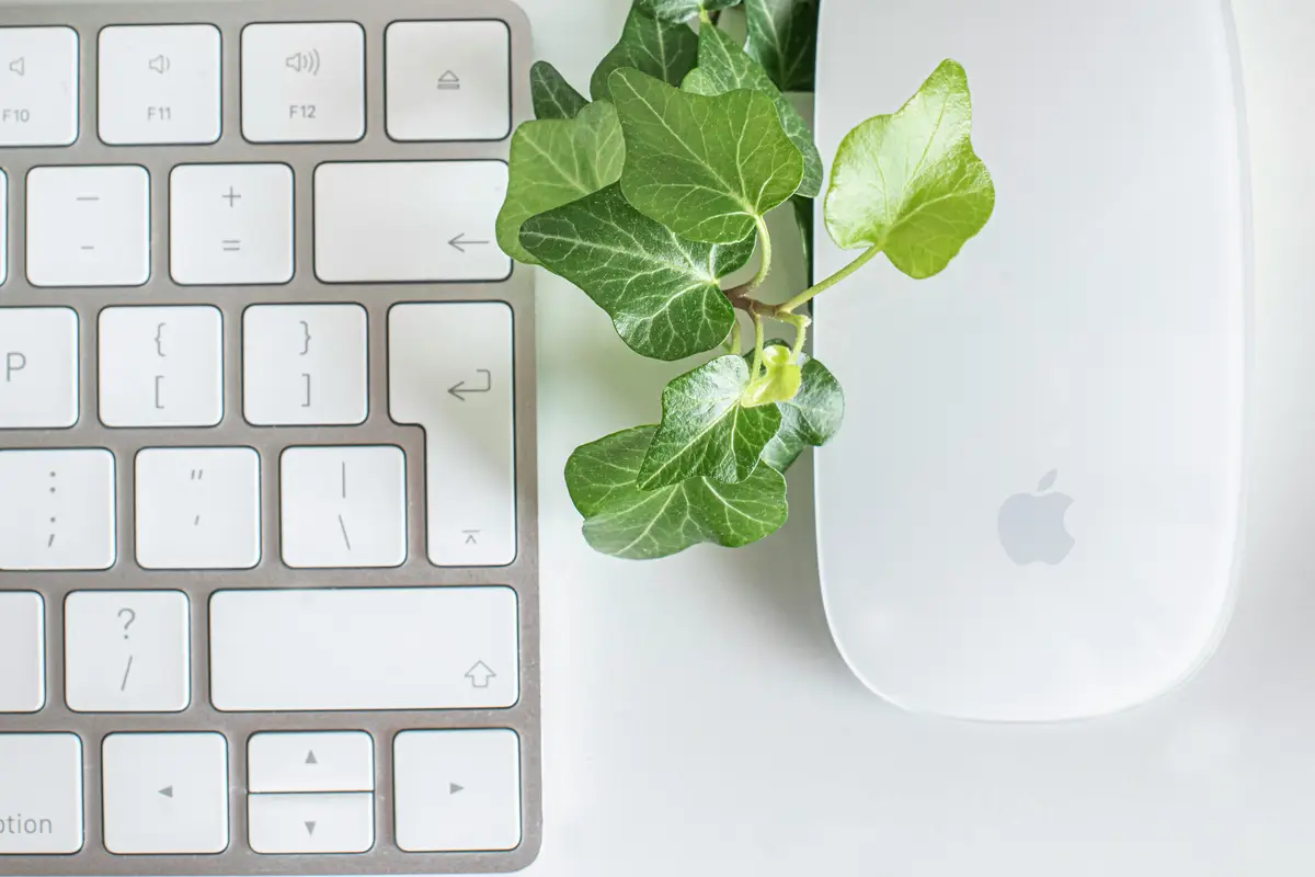 Nowoczesne biuro z betonowymi ścianami i pomarańczowymi detalami w Opolu